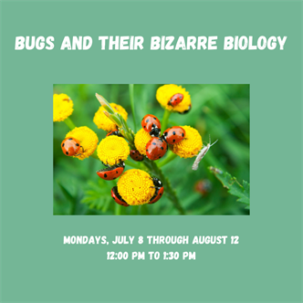 Bugs & Their Bizarre Biology