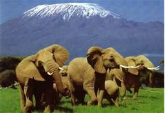 A Photo Safari to Kenya